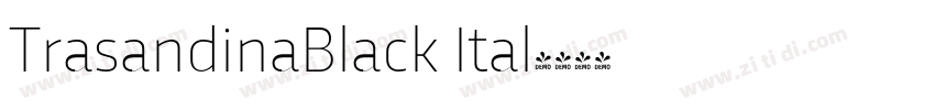 TrasandinaBlack Ital字体转换